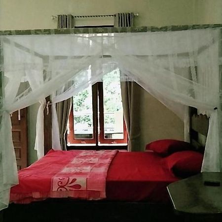 Raja Guest House - Jungle Trekking & Tours Bukit Lawang Sumatra Exterior photo